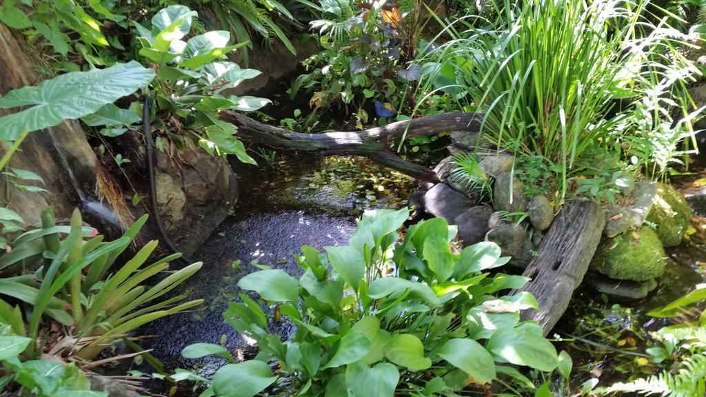 Cairns Gateway Resort Екстериор снимка